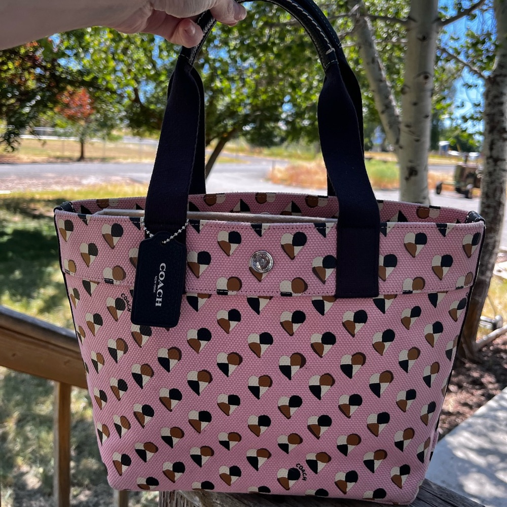 Coach bag and mini wallet